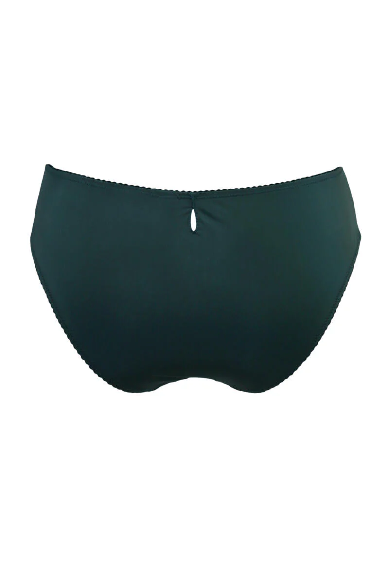 Sofia lace bikini - Image 5